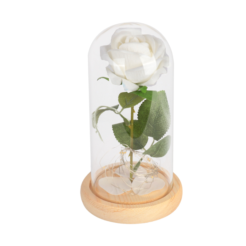 Base naturelle rose blanche avec lumières