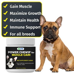 مكملات غذائية لزيادة وزن الكلاب بعلامة تجارية خاصة، تدعم صحة الحيوانات الأليفة، أقراص طرية مع مزيج من الفطر - Product Image 6