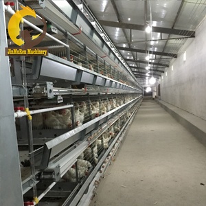 Jinmuren Chicken Farm Building Poultry Breeding EquipmentためLayer Chicken - Product Image 6