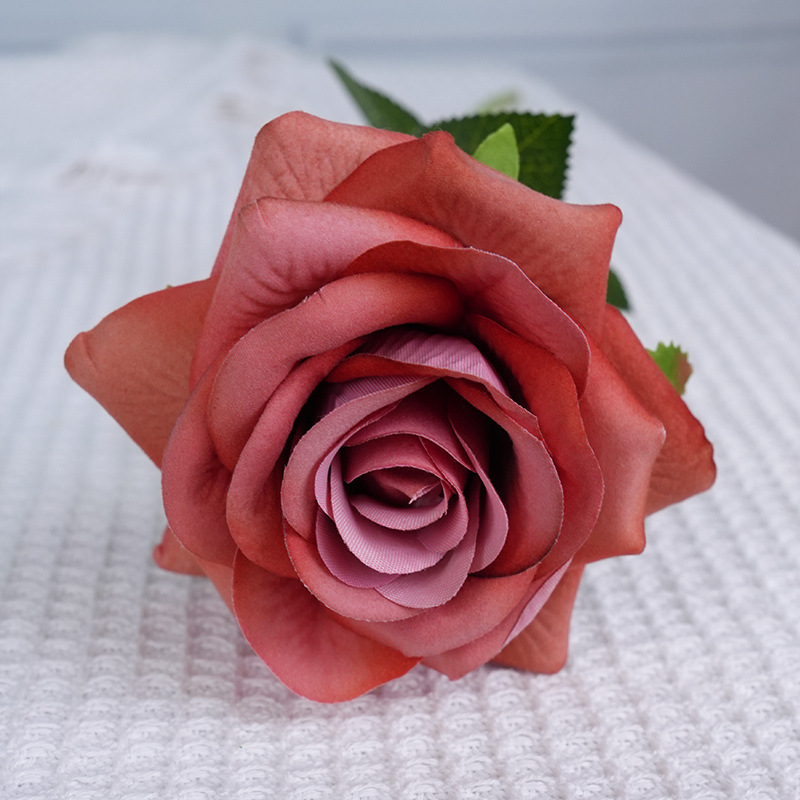 Fendara rose kaki