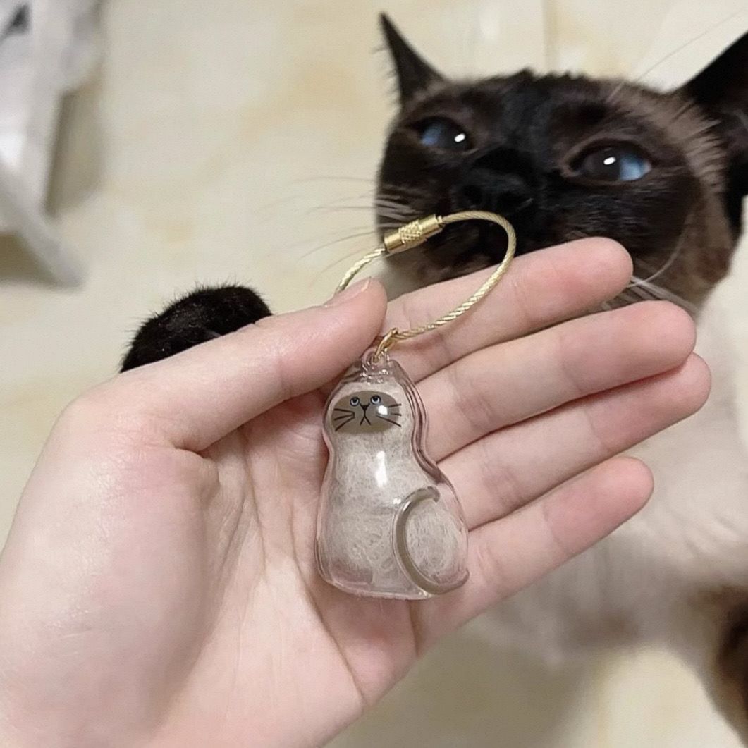 café siamés gato