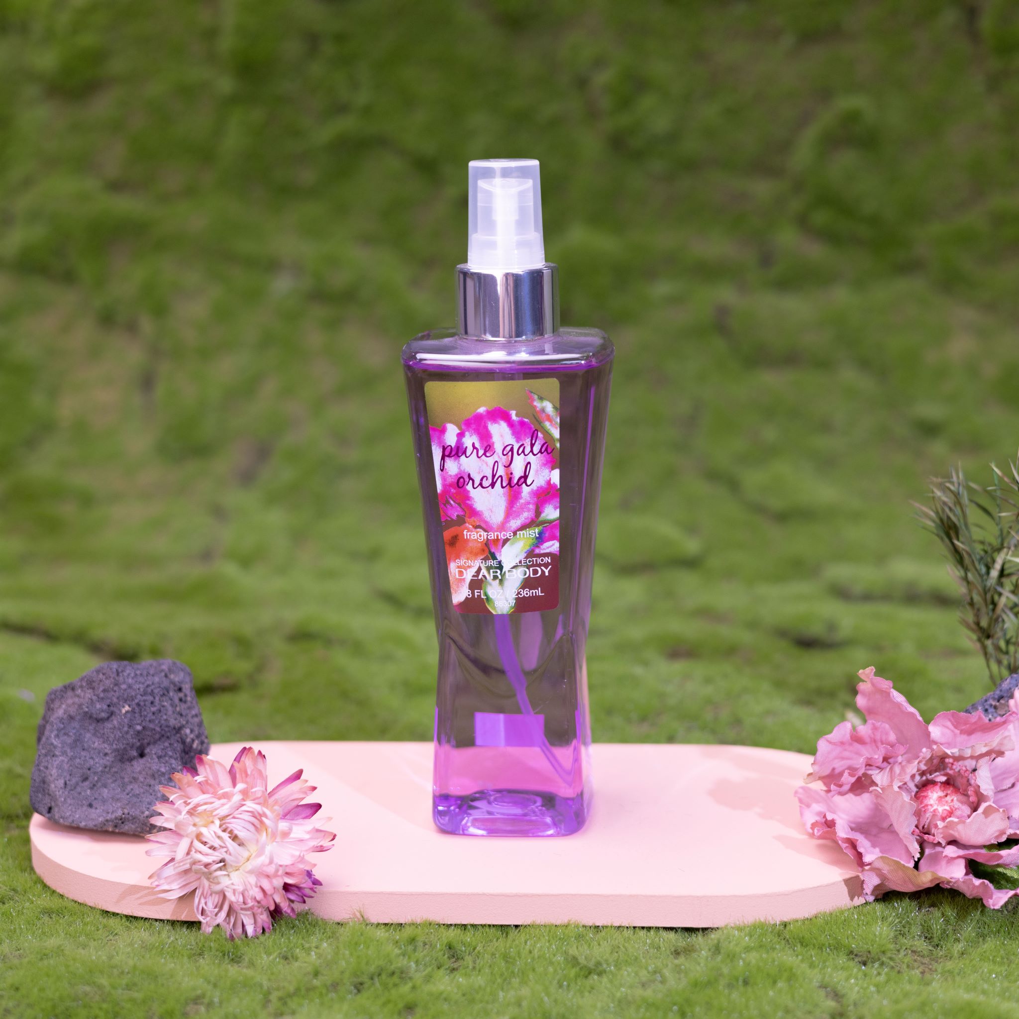 Orchidée Gala pure