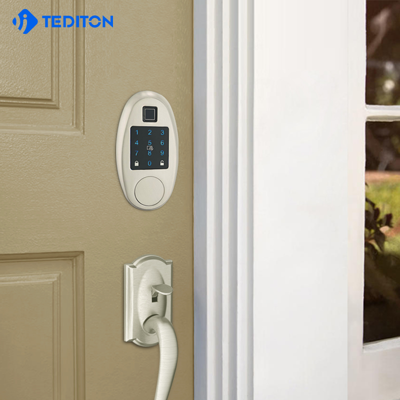 Security Electronic Password door locks with ttlock WiFI Biometric fingerprint smart digital lock door