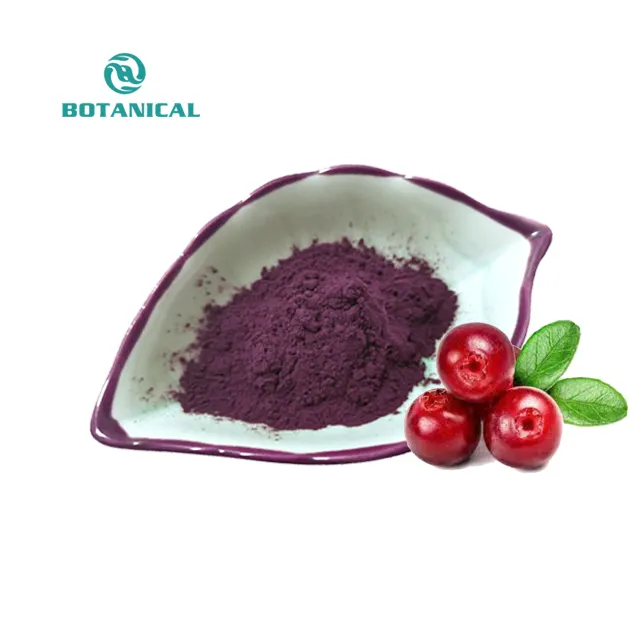 Gute qualität Cranberry Extrakt Pulver Cranberry Extrakt 25% Proanthocyanidine