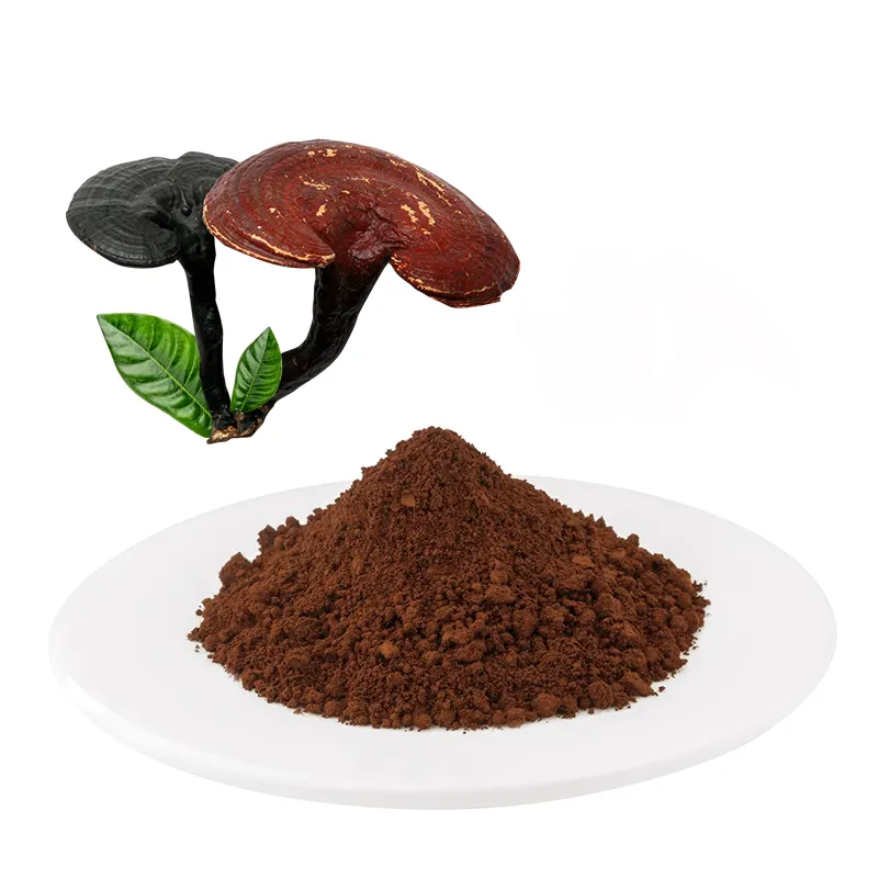 100% reines organisches Reishi-Pulver Ganoderma Lucidum Reishi-Pilzex trakt pulver