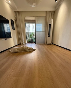 Arc unilin <span class=keywords><strong>valinga</strong></span> bấm vào chất lượng cao AC4 gỗ Laminate sàn cho nhà - Product Image 5