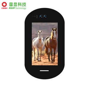 K&amp;D 3.97 Inch Tft <strong>Display</strong> IPS 4 Inch 480*800 Tft <strong>Lcd</strong> MIPI <strong>Interface</strong> 270nits Customizable <strong>I2C</strong> <strong>Interface</strong> Touch Panel - Product Image 5
