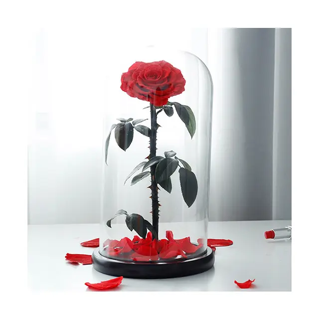 Ammy wedding favors Preserved Flower Rose Big Prince Roses Forever Flowers Eternal Roses In Glass Dome For Valentines Day Gifts