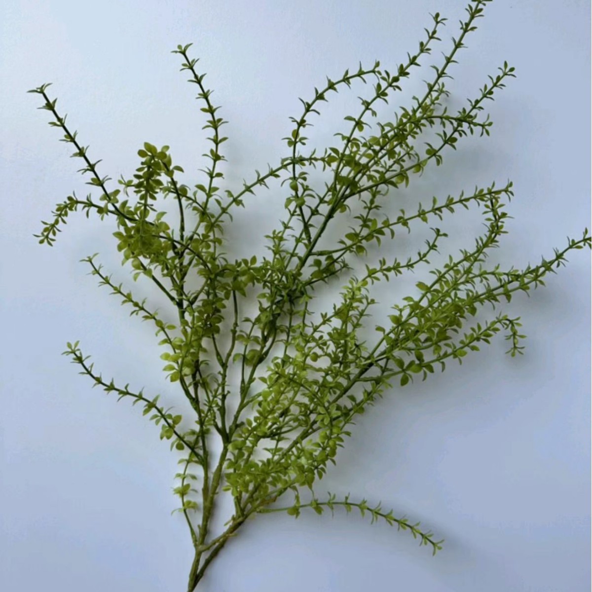Thousand-layer grass
