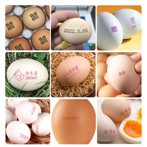 Принтер для кодировки яиц, струйный принтер для интеллектуальной ручной маркировки даты, автоматический 6-головочный струйный принтер для яиц - Product Image 6