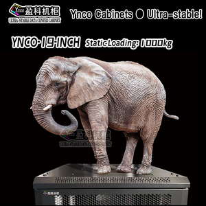 YNCO Custom 27U <strong>Network</strong> Cabinet 600*600 19 Inch Chromatic Metal <strong>Design</strong> for Server Application in <strong>Data</strong> Center with 18U Capacity - Product Image 6