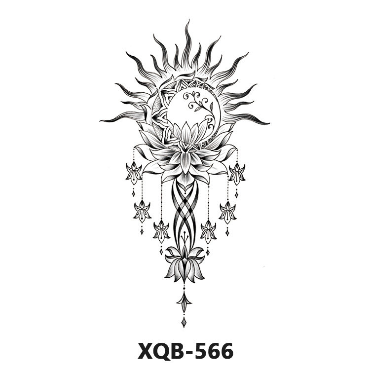 XQB566