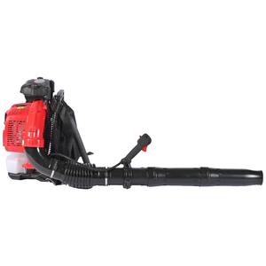 Ebeb25cc benzinli kar üfleyici yeni tasarım endüstriyel/DIY bahçe makinesi yaprak Blast Mist hava fonksiyonu ile benzin güç kaynağı - Product Image 4