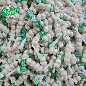 大蒜买家批发10千克/袋装1x20FCL 5.0厘米/5.5厘米出口莫桑比克/索马里/利比亚/利比里亚便宜的市场价格/新作物/Ajo