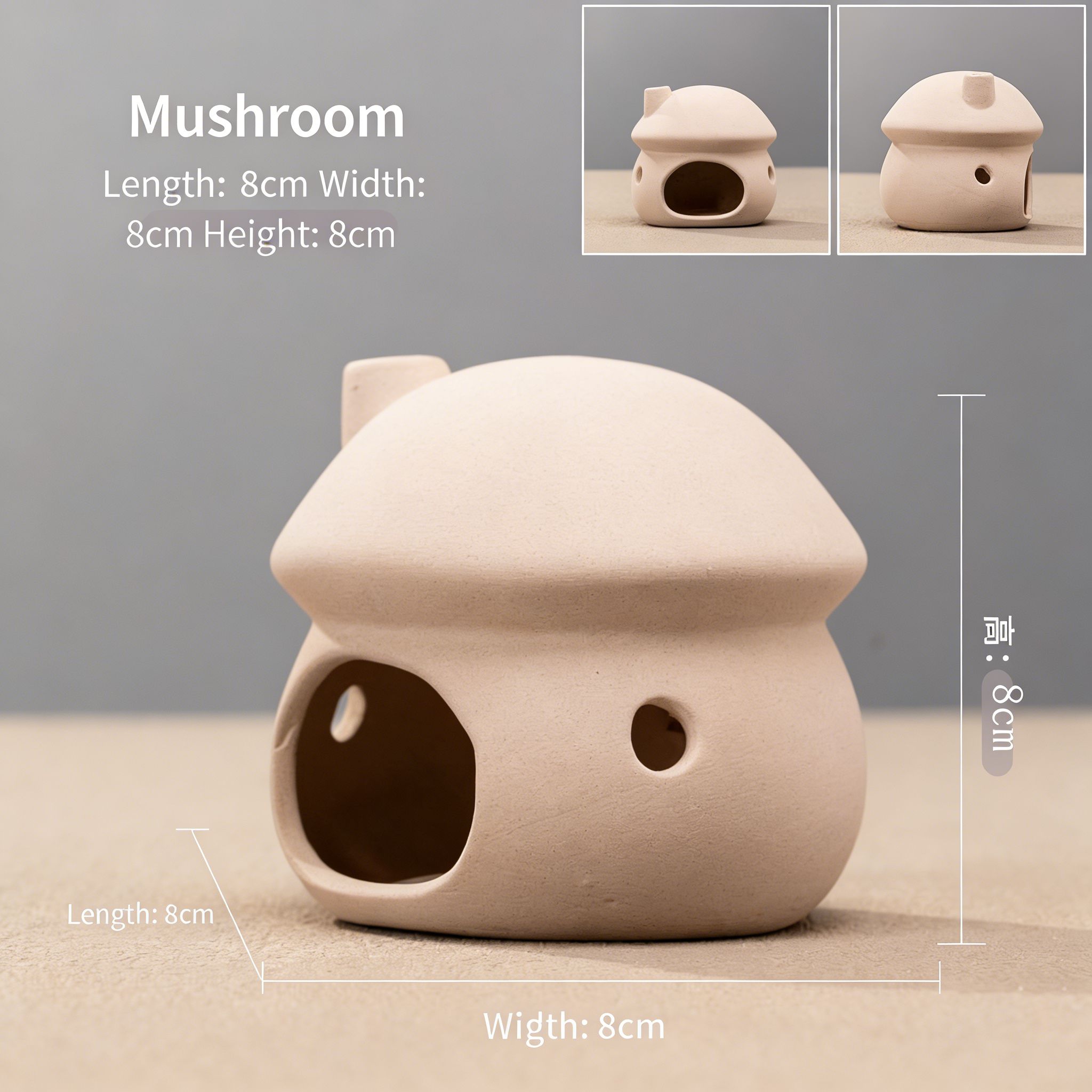 Ivory mushroom1
