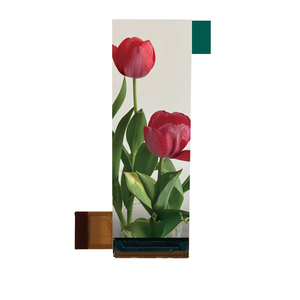 2,3-Zoll-IPS-TFT-LCD-Display 100x310 Auflösung ST7789V-Treiber mit SPI-und MCU-8-Bit-Schnittstelle 2,3-Zoll-TFT-LCD-Lieferanten - Product Image 6