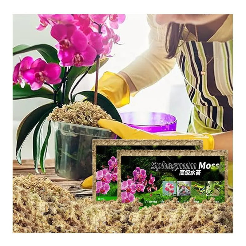 Fabriklieferung hervorragender Preis Sphagnum-Moos für feuchtigkeitsliebende Pflanzen und Orchideen-Bodenverlängerung