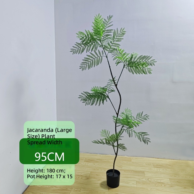 Jacaranda de luxe léger 180CM