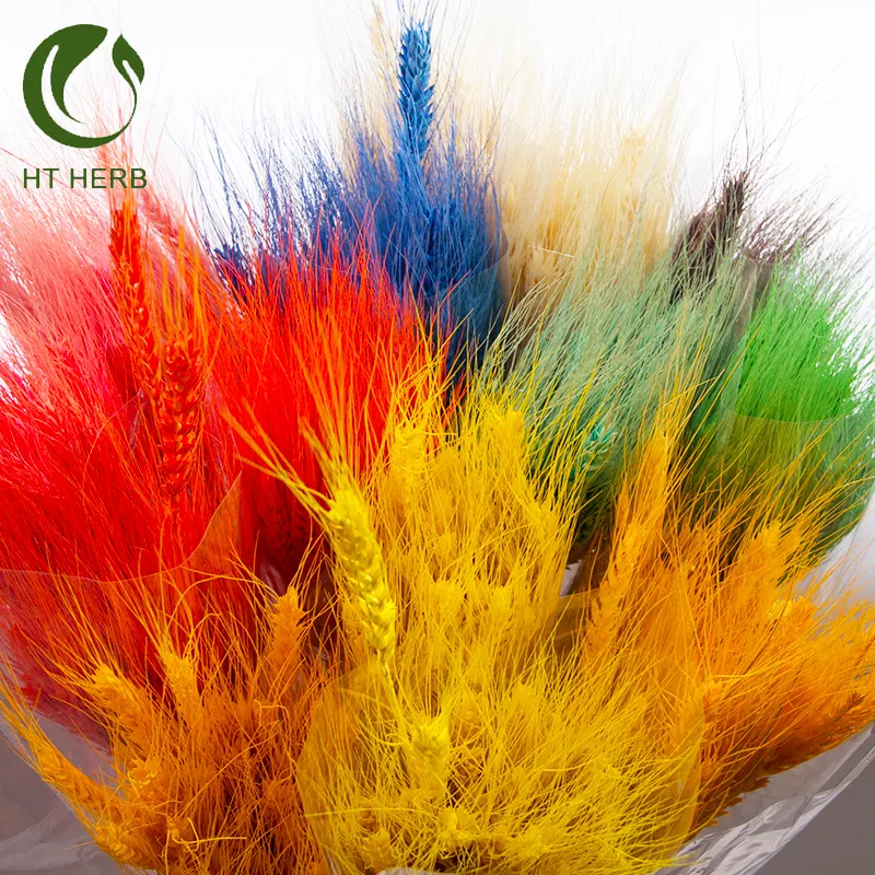 Preserved flower Hot Sale 30 Pieces Dried Flower Multi-colored Real Dry Wheat Flower for Decoration