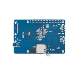 LCPI All winner D1 Development Board 64-Bit RISC-V Linux SBC-Unterstützung Tina Debian System