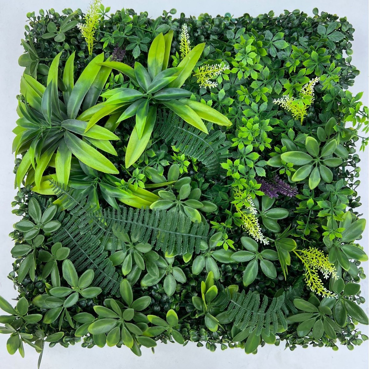 Gran combinación de malas hierbas - 50 unidades de 50 cm.