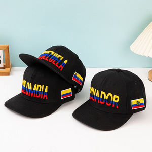 2025 <strong>New</strong> National Flag Hip-Hop Hat Color Matching Embroidery Flat Brim Three-Dimensional Cross-Border Multinational Baseball <strong>Cap</strong> - Product Image 3