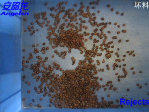 Selezionatrice di colore del selezionatore dei chicchi di caffè - Product Image 3