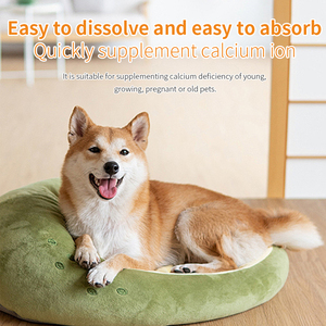 Supplément de qualité du système immunitaire pour chiens et chats Solution orale d'électrolyte de glucose améliore les soins de santé pour animaux de compagnie - Product Image 3