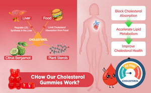 Integratori di colesterolo con steroli vegetali e stanoli 1600 Mg, gommosi di colesterolo, complesso di colesterolo mantiene livelli normali - Product Image 5