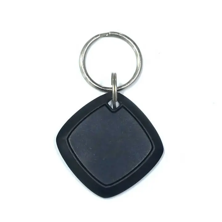 2024 Chaveiro RFID em promoção com logotipo personalizado ABS 125khz Chaveiro RFID passivo