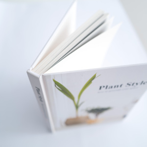 OEM üretim fiyat özelleştirmek sehpa kitap baskı kitaplar talep ciltli ciltli durumda bağlı ofset baskı hizmeti - Product Image 2