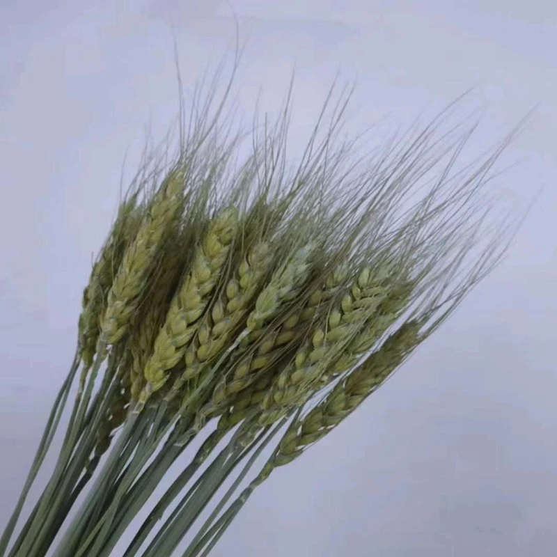 Naturel