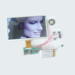10.1 Inch <strong>Lcd</strong> Display <strong>Module</strong> with <strong>Lcd</strong> Screen and Function Buttons