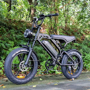 Yükseltme ab İngiltere abd depo V20 e bisiklet elektrikli bisiklet elektrikli şehir hibrid ebike bisiklet fatbike dağ elektrikli bisiklet