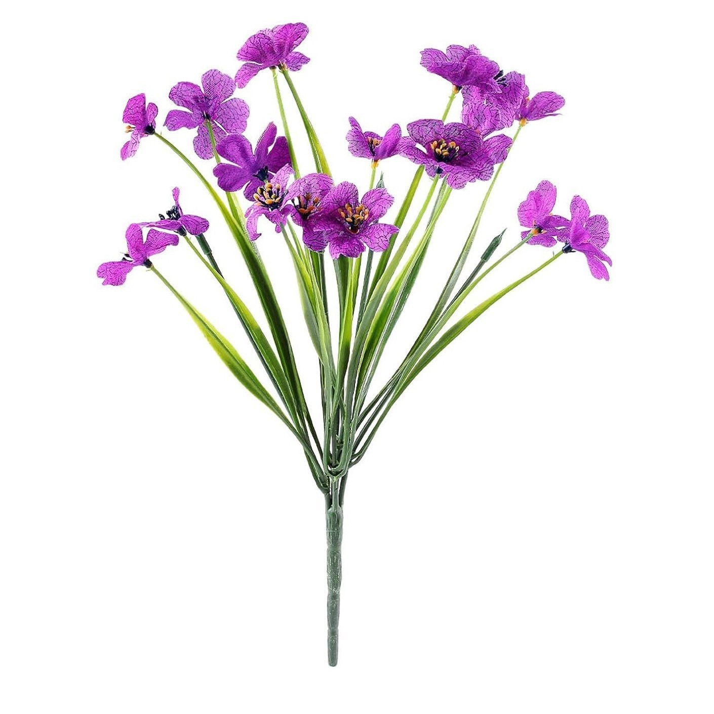 Violette, herbe printanière, lotus rouge
