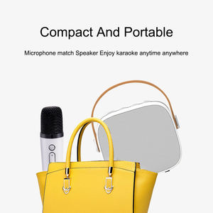 Portable Bluetooth Speaker with Wireless Microphone New Mic Karaoke Machine Music Player for Adults and Kid Subwoofer <strong>System</strong> - Product Image 2