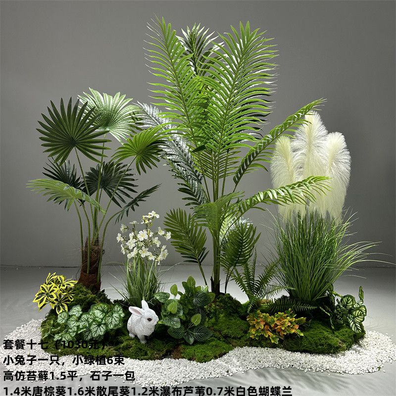 Paquete de plantas Reed Green, 17 unidades.