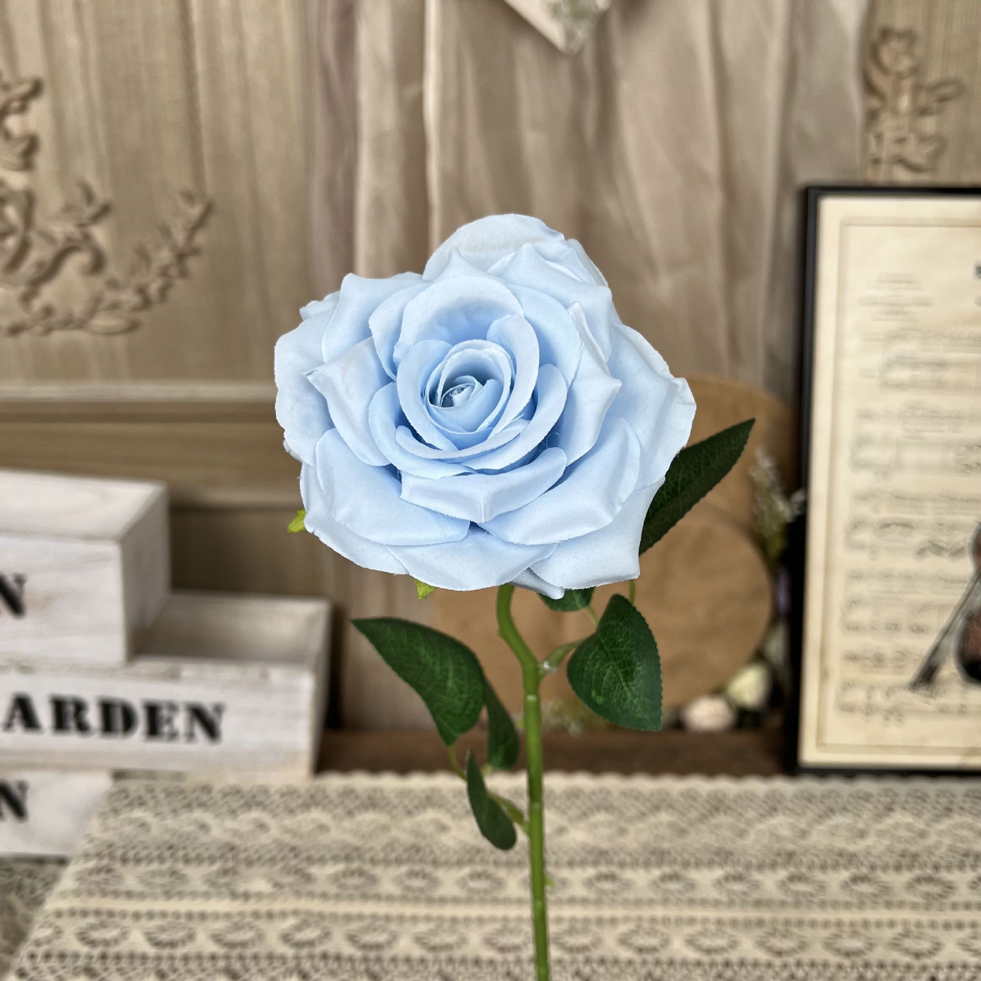 Ty-Sola esquina Rosa-azul claro