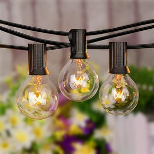 <strong>C</strong> type Festival <strong>String</strong> Light With Dorecation Gutter Clip Or Stake Lighting <strong>String</strong> with Fused Plug - Product Image 4