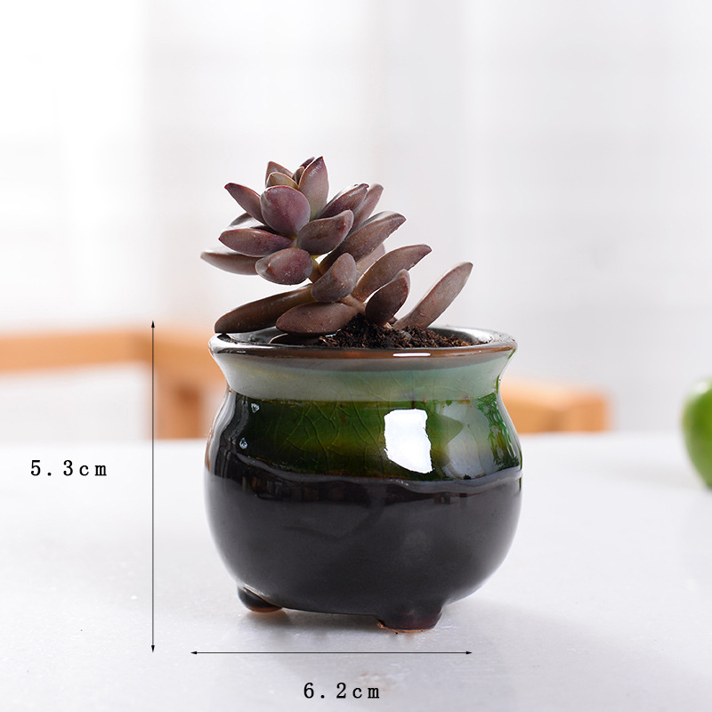 6.2*5.3 cm