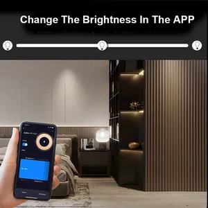 Zigbee Tuya светодиодный контроллер RGB RGBW CCT светодиодный контроллер с поддержкой Alexa Google, голосовое управление, светодиодный диммер - Product Image 5