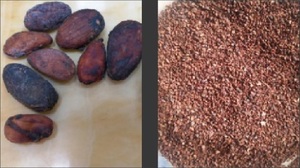 Máquina desgranadora de granos de cacao de alta eficiencia - Product Image 2