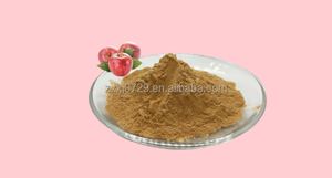 Gıda katkısı elma polifenolleri gıda veya kozmetik için yüzde 75 içerik saf elma özü - Product Image 3