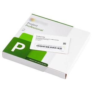 Wholesale Project Professional 2021 USB Retail Box Online Activation Project <strong>Pro</strong> 2021 USB Full Package Fast Shipping - Product Image 2