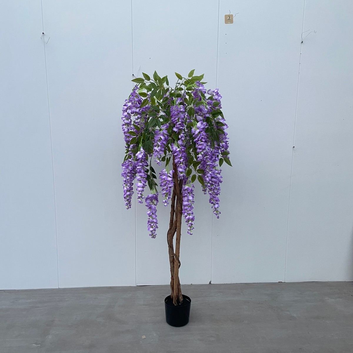Verde 1.5m Árbol de flores de vid morada