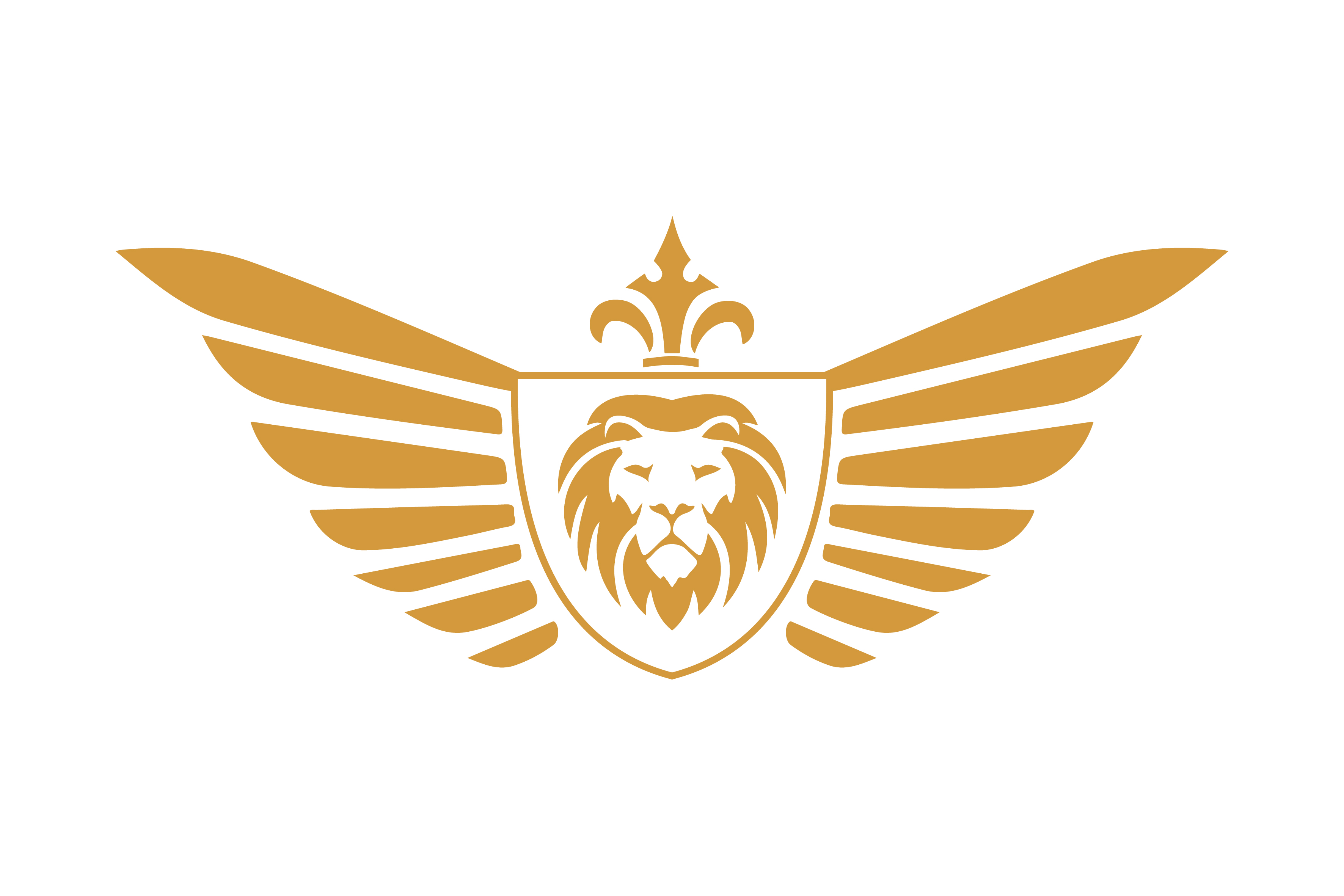 company logo