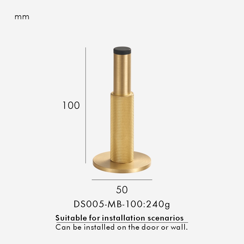 DS005-MB-100