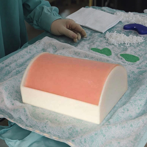 用于学校医学培训的多功能PVC肌肉注射模型 - Product Image 2