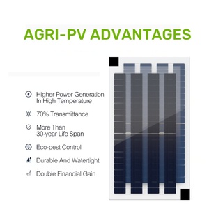 Tấm pin mặt trời bipv bán trong suốt 280W mô-đun năng lượng mặt trời hai chiều cho các dự án nông nghiệp - Product Image 2