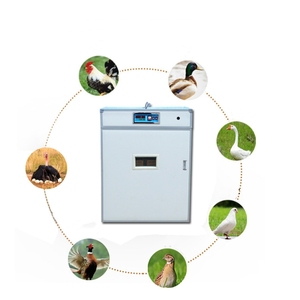Tavuk yumurta kuluçka makinesi için tam otomatik kuluçka makinesi çin yapılan - Product Image 4